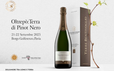 Pinot Noir Pas Dosé Metodo Classico on the Oltrepò Olmpus